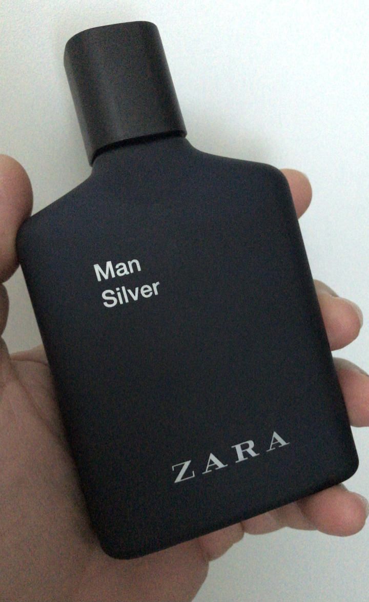 Zara Man Silver